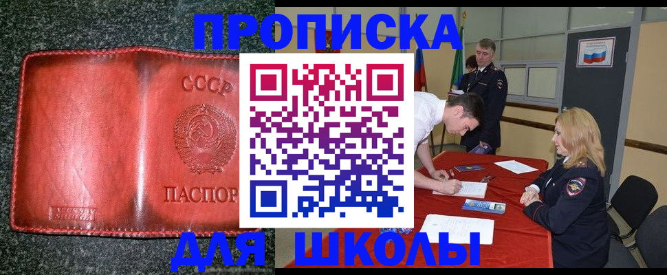 прописка в квартире в Наволоках